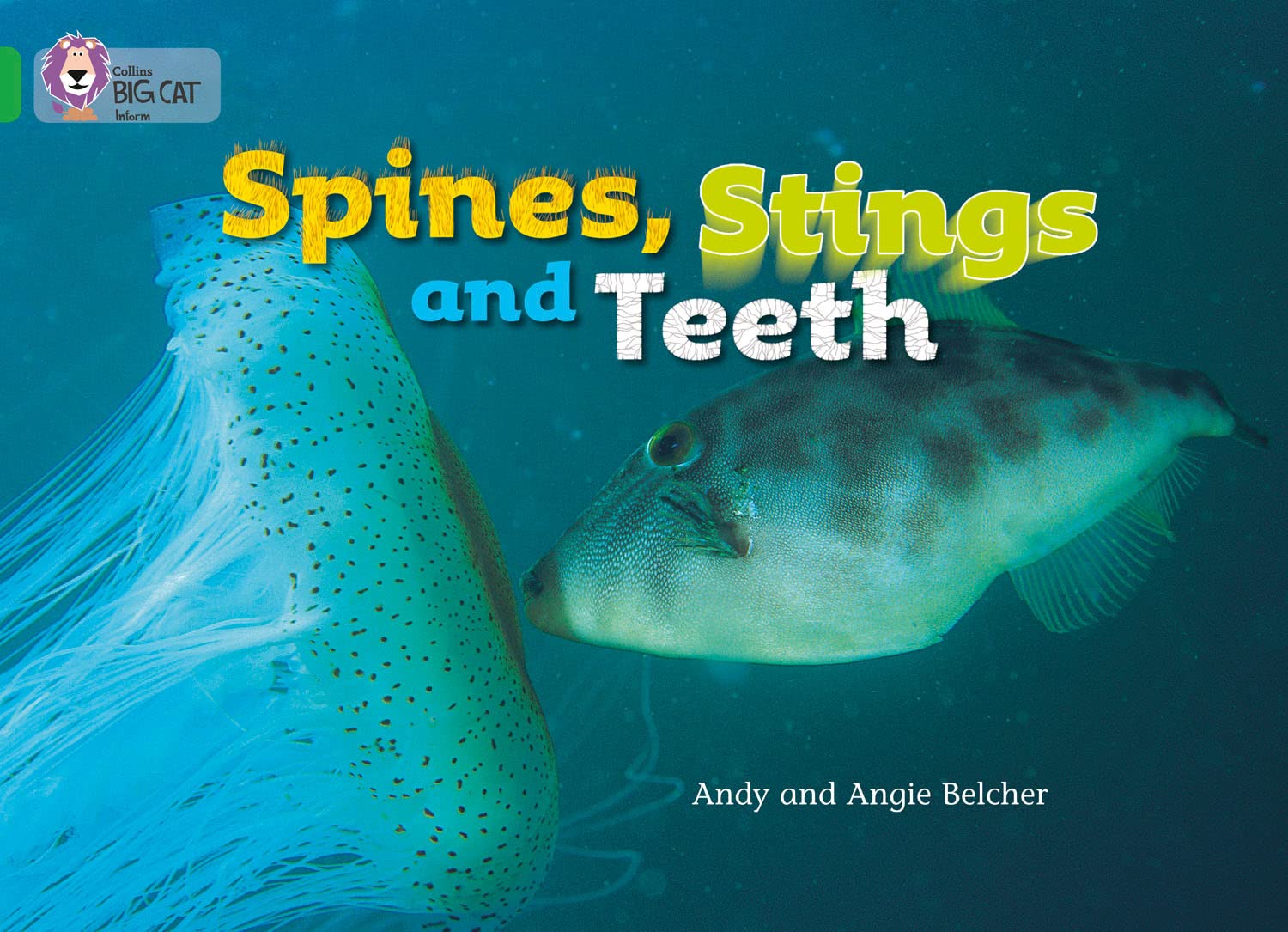 Big Cat Spines Stings Teeth g