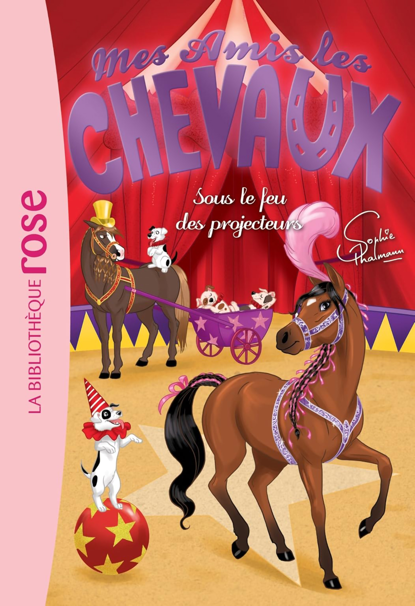 Sous Le Feu Des Projecteurs - Mes Amis Les Chevaux #9