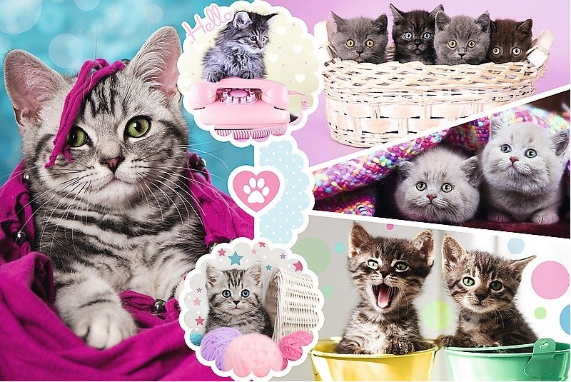 Puzzles 160 Lovely kittens 15371