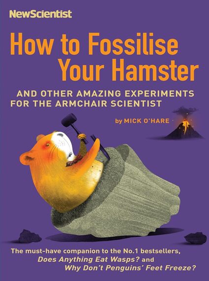 New Scientist -How to Fossilise your Hamster