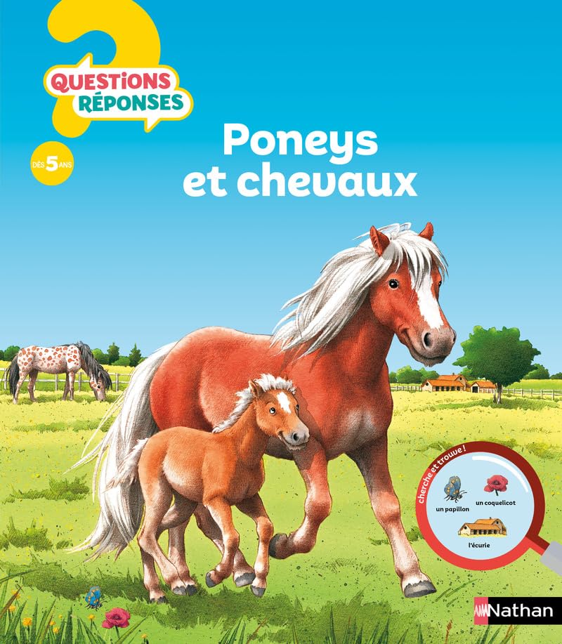 Poneys Et Chevaux - Questions Réponses