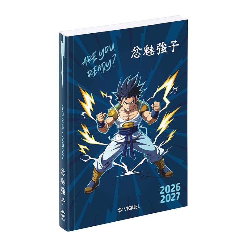 Agenda Manga Boy Viquel 746487