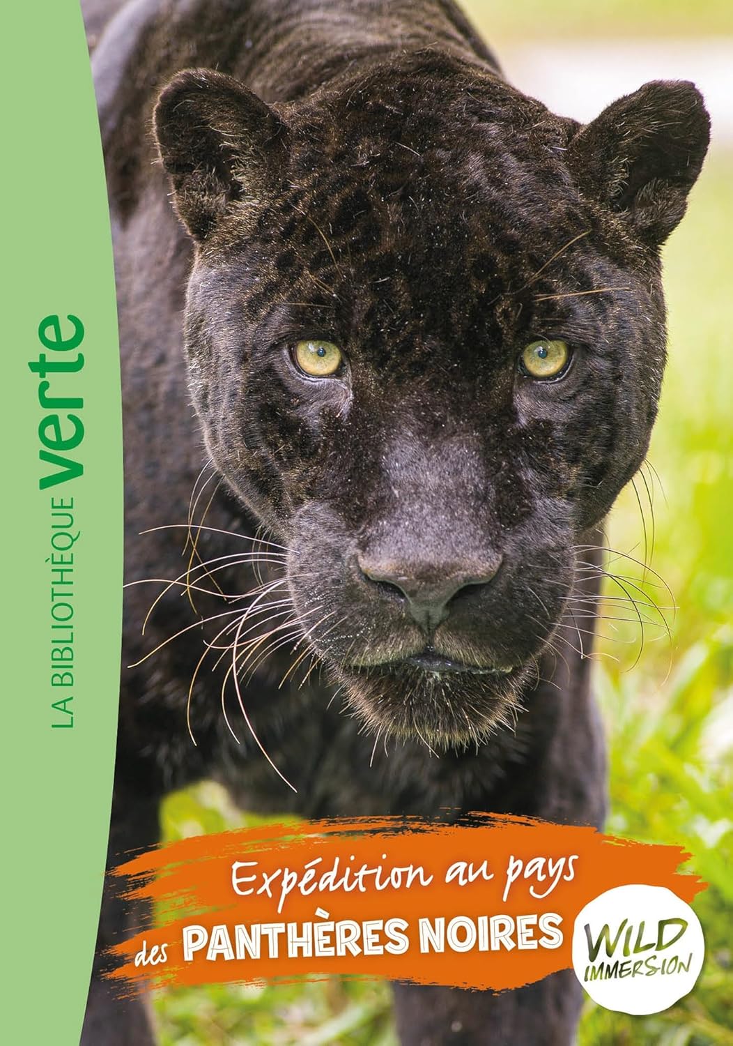 Expédition Au Pays Des Panthères Noires #15 - Wild Immersion