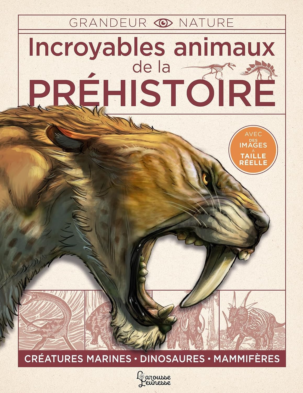 Incroyables Animaux De La Préhistoire - Larousse