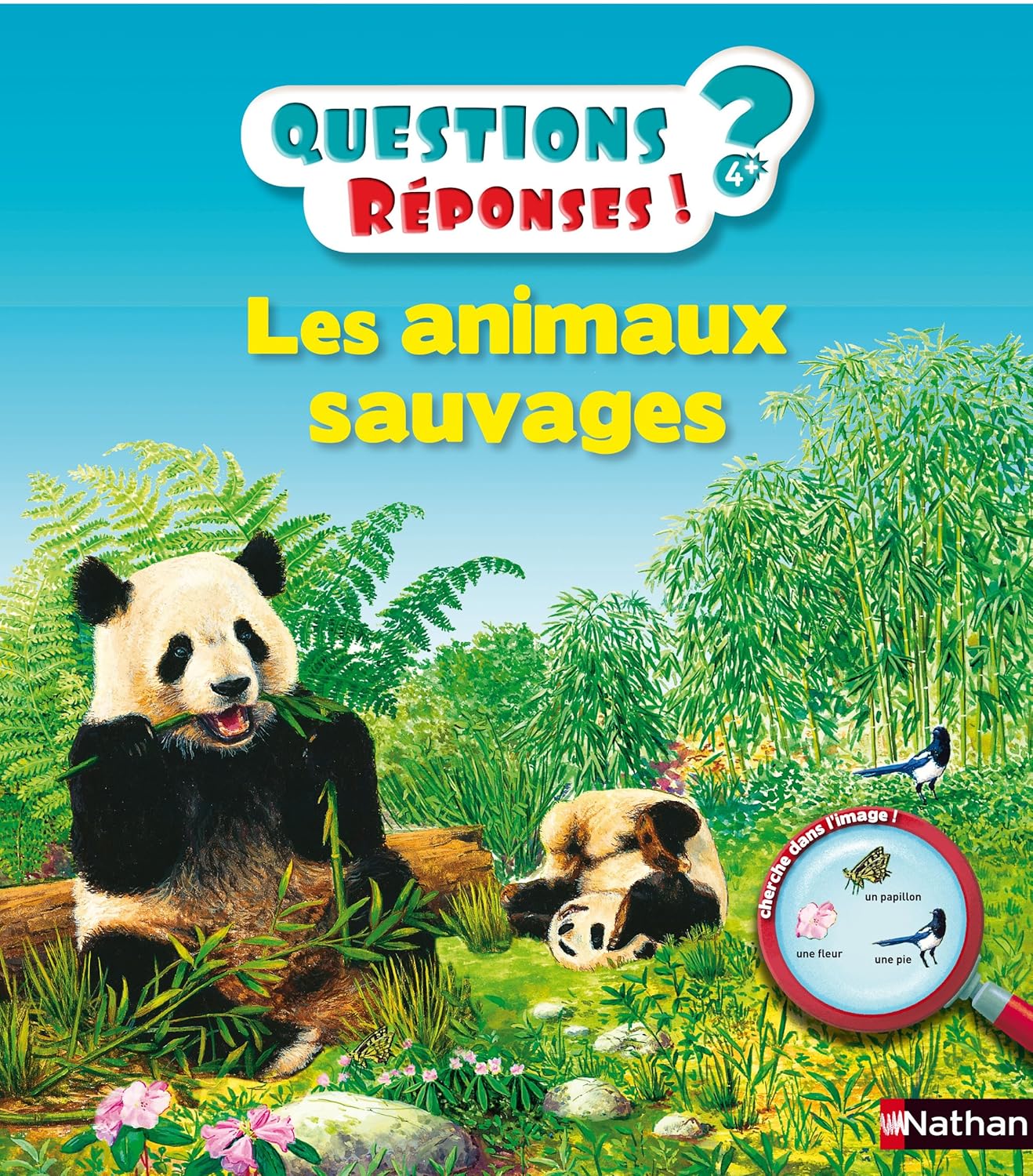 Les Animaux Sauvages - Questions Réponses