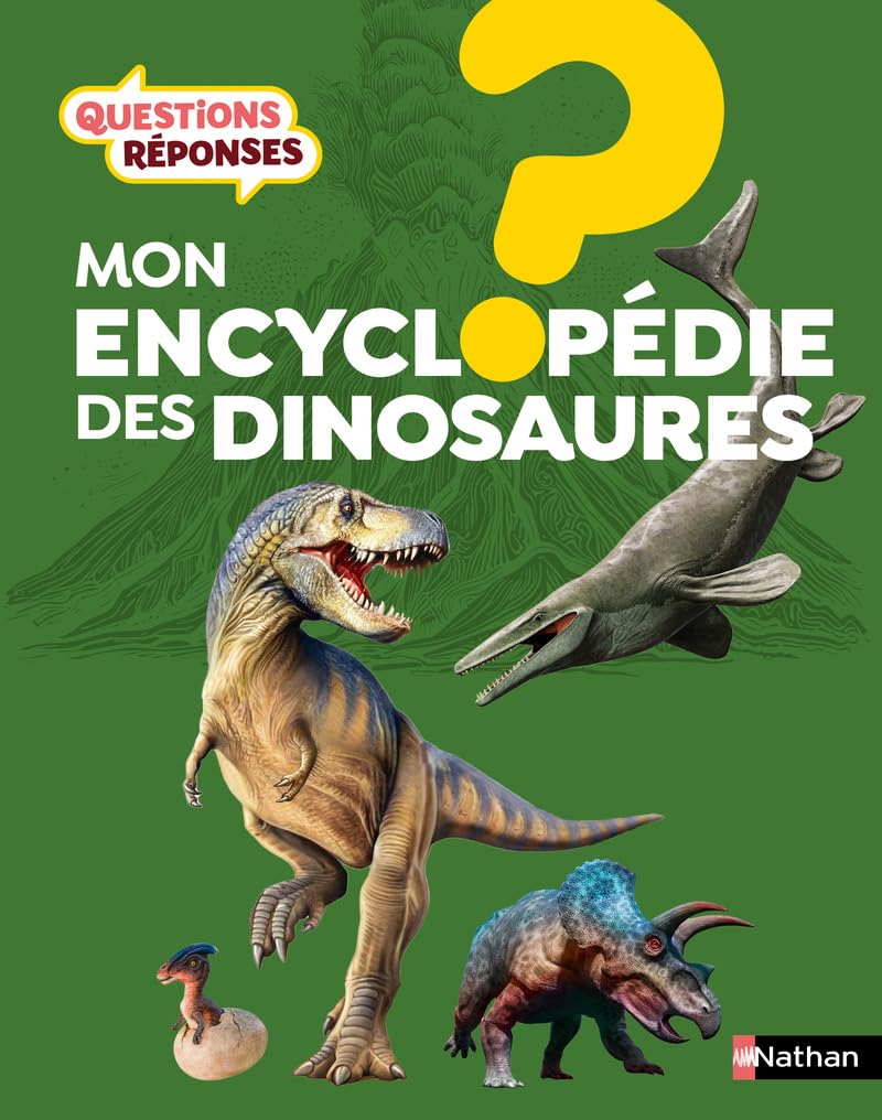 Mon Encyclopédie Des Dinosaures - Questions Réponses