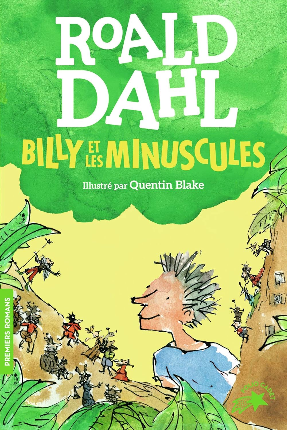 Billy Et Les Minuscules - Roald Dahl