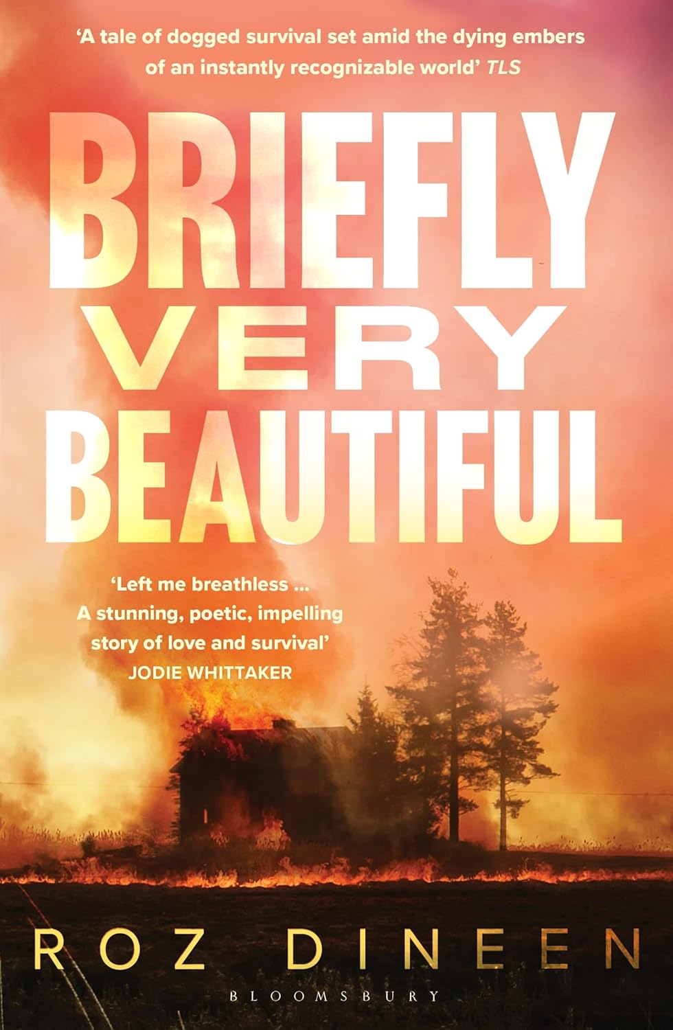 Briefly Very Beautiful -  Roz Dineen