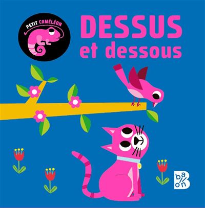 Dessus Et Dessous - Petit Caméléon