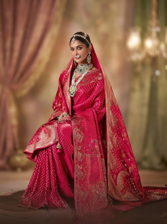 SAREES WITH DUPATTA