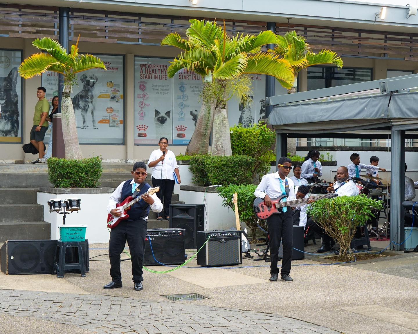 Have A Dream - Live Music Show