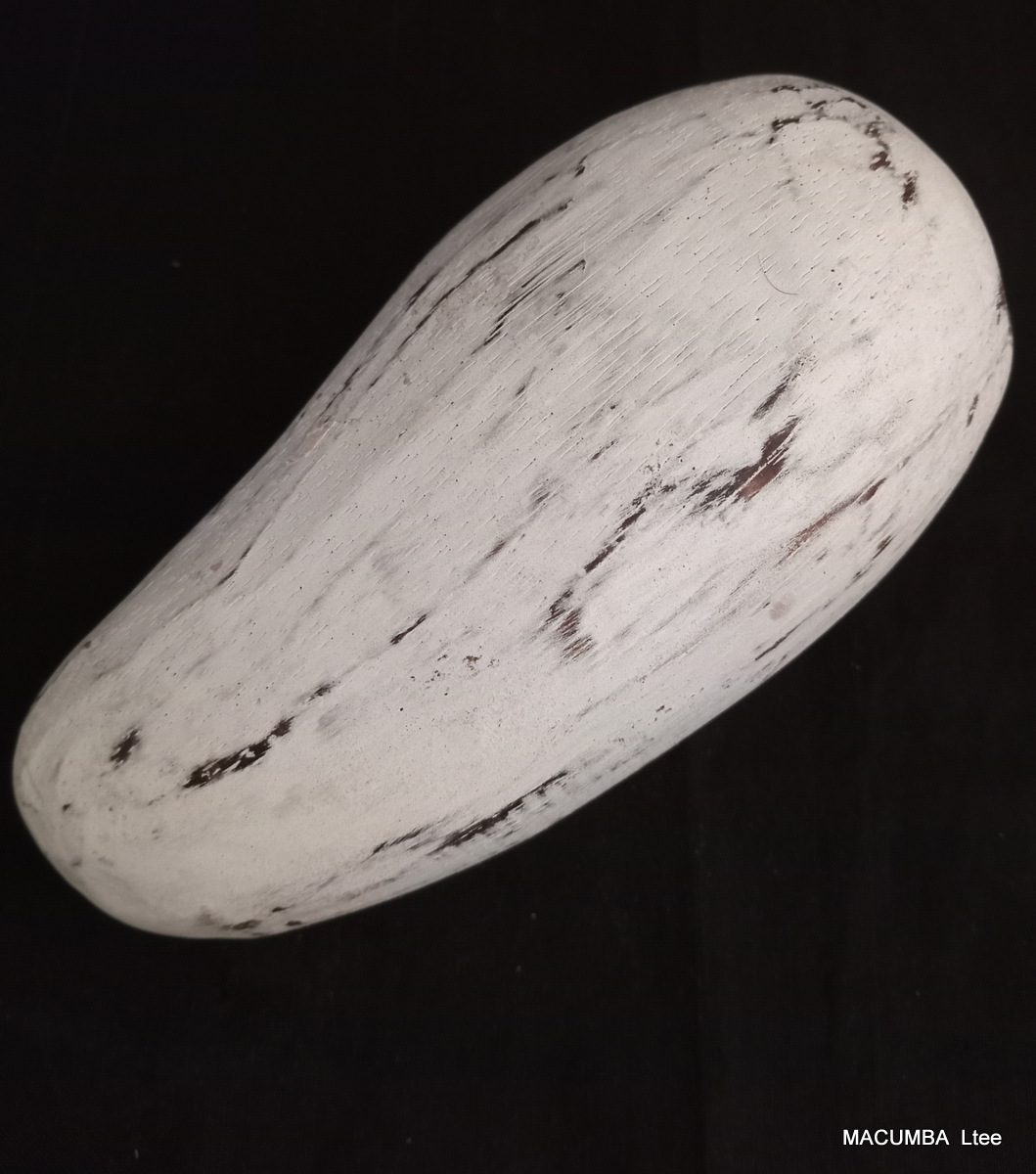 FRUIT MANGO BIG WHITE WASH WOOD