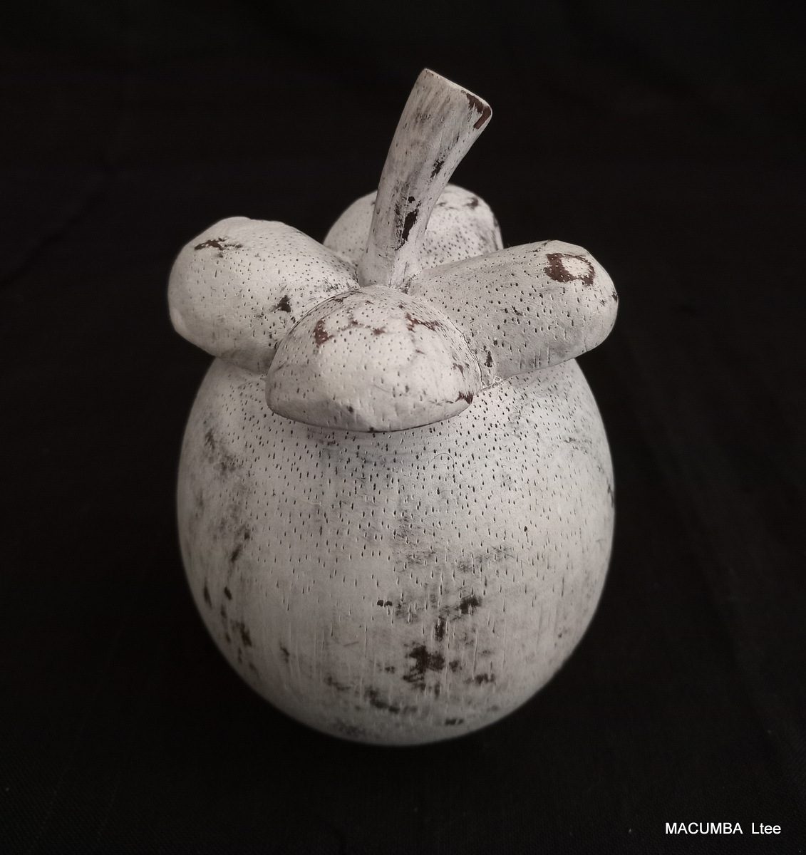 FRUIT MANGOSTEEN MEDIUM WHITE WASH WOOD