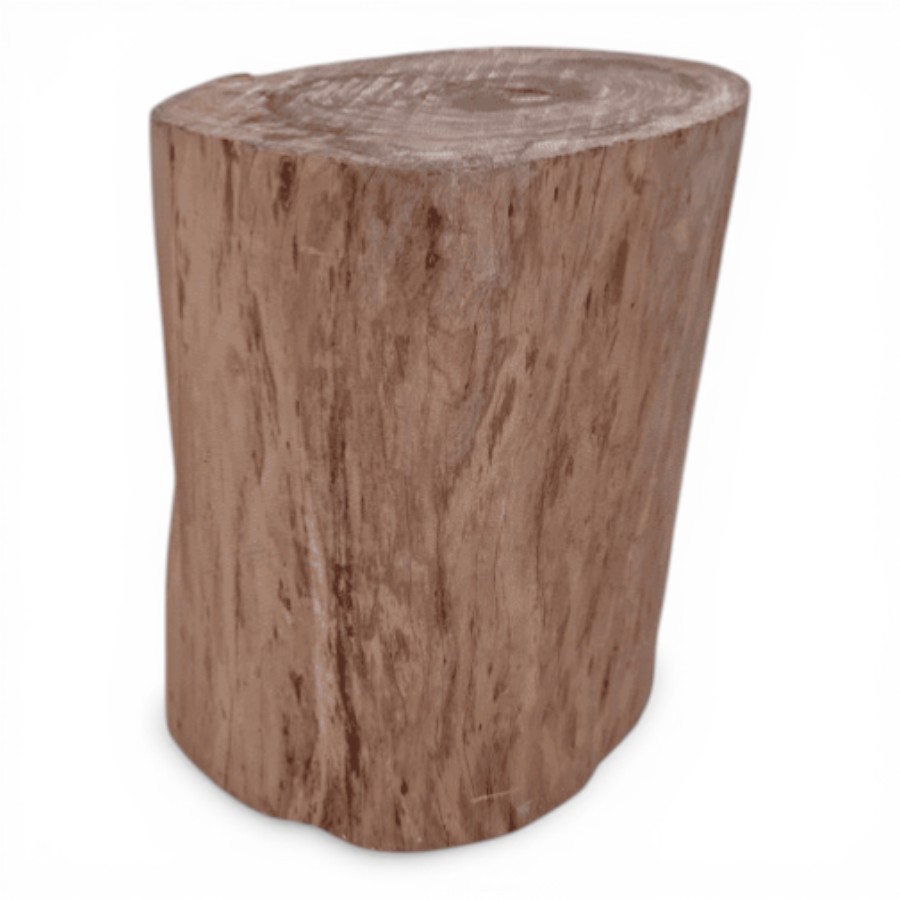 PONG - FILAO LOG NATURAL