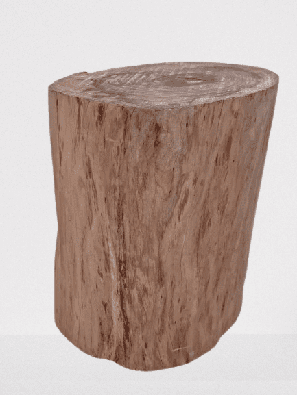 PONG - FILAO LOG NATURAL