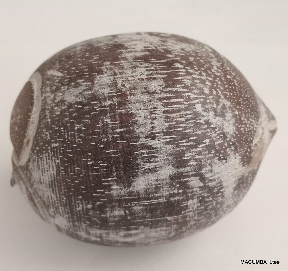 FRUIT COCONUT MEDIUM NATURAL WASH WOOD