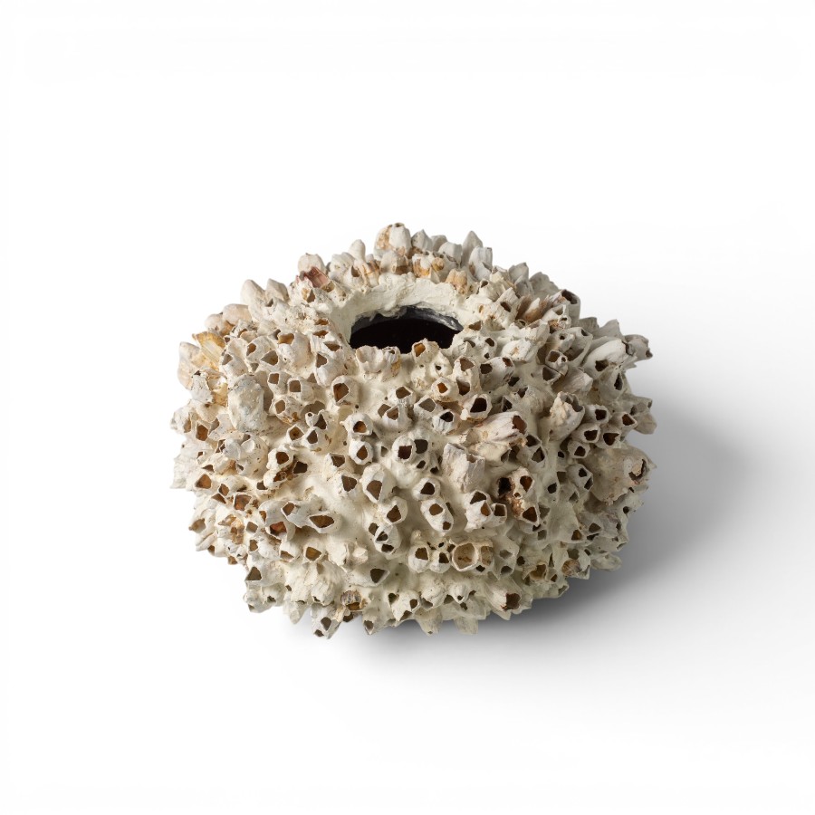 POT SHELL TERRACOTTA D30