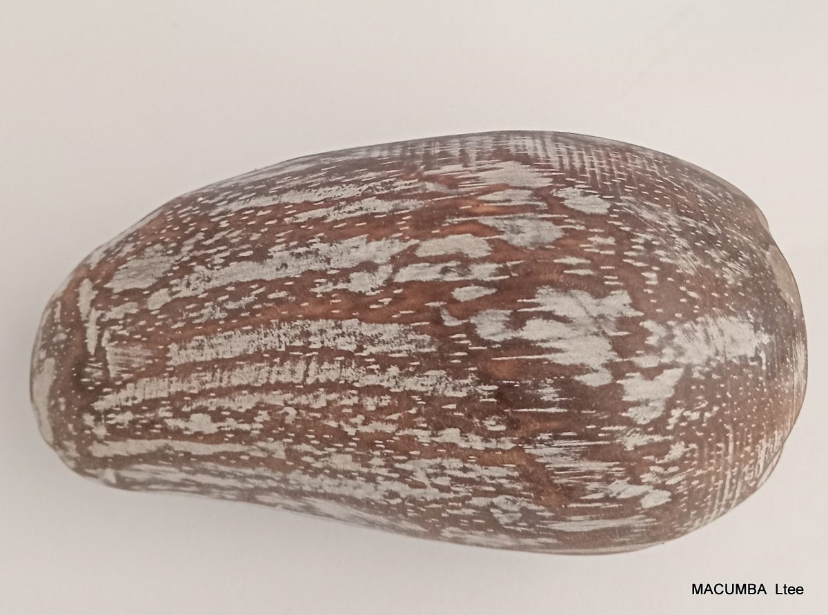 FRUIT MANGO MEDIUM NATURAL WASH WOOD