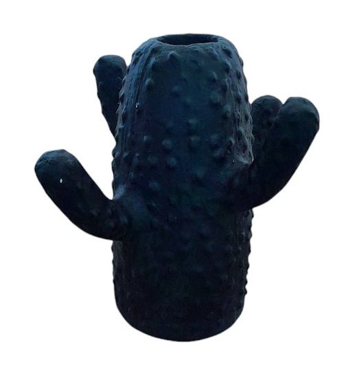 AVIERA - POT CACTUS D15H28