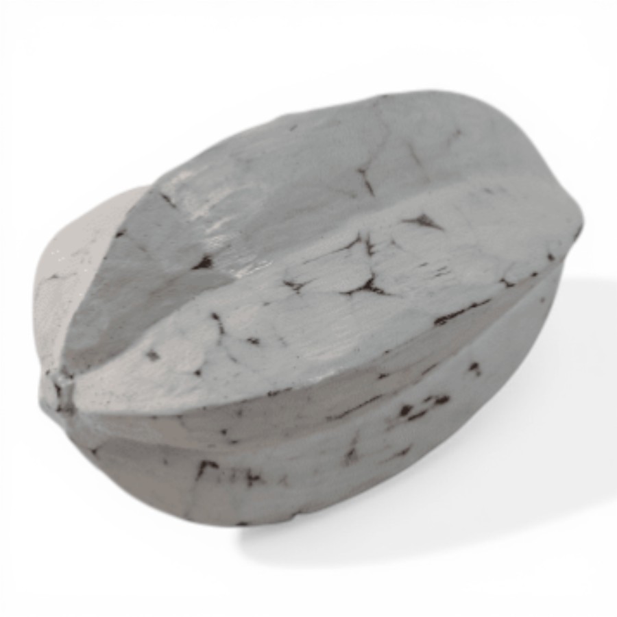 BEZAR - STAR FRUIT WOOD BIG 25 CM