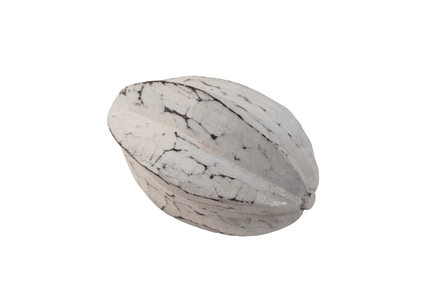 BEZAR - STAR FRUIT WOOD MEDIUM