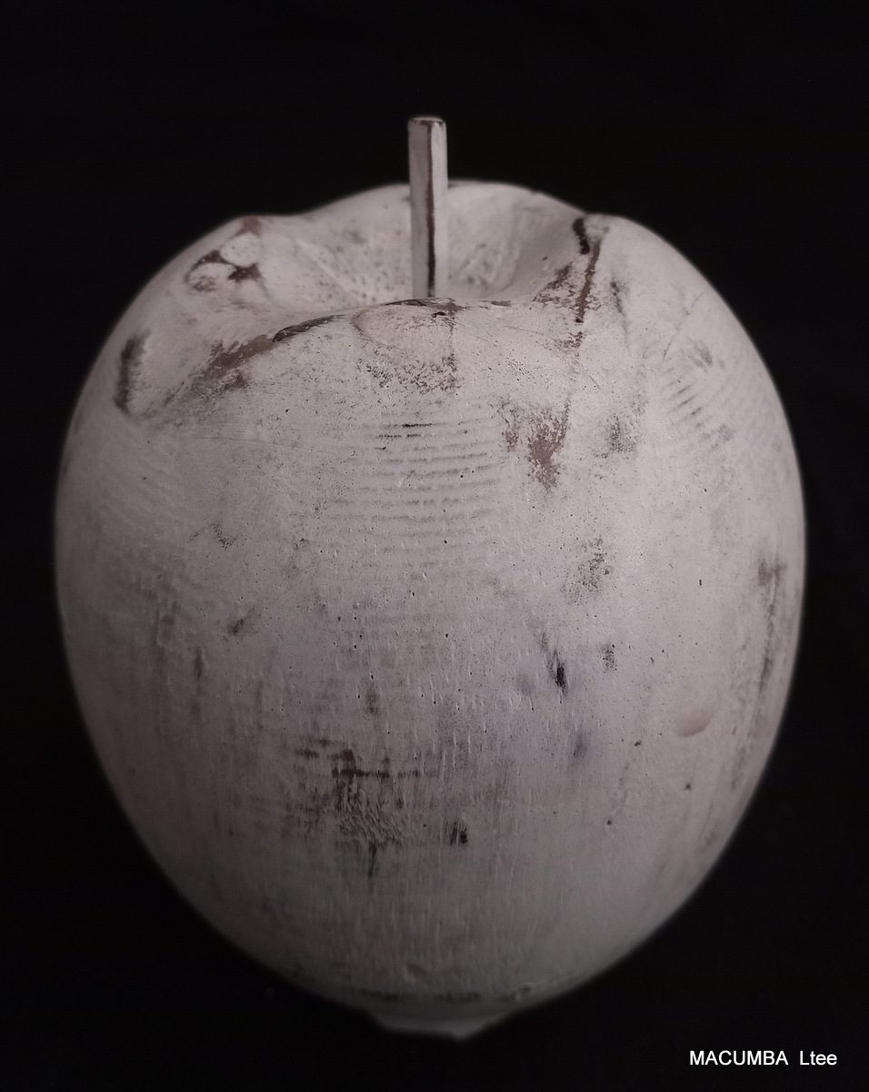 FRUIT APPLE MEDIUM WHITE WASH WOOD