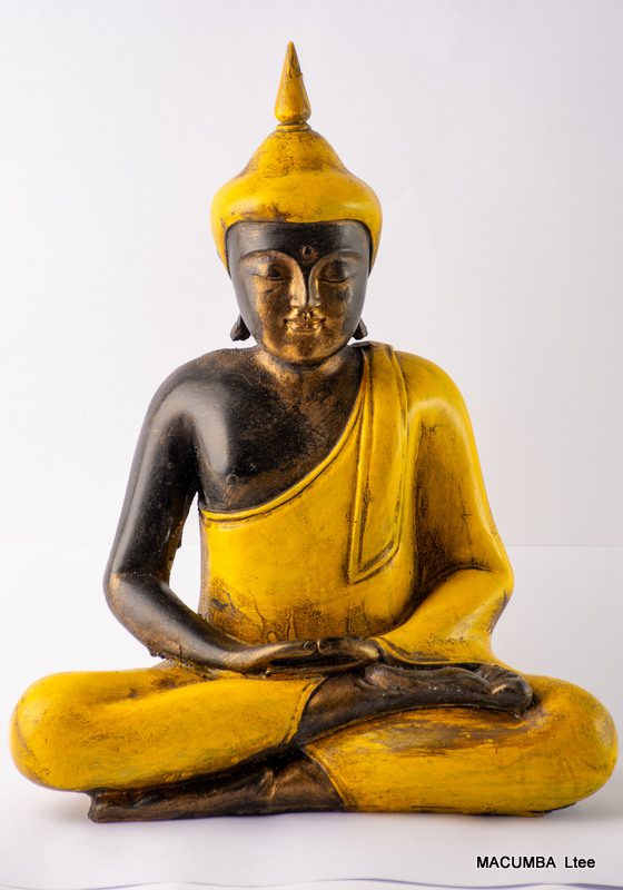 BUDHA THAI YELLOW H40