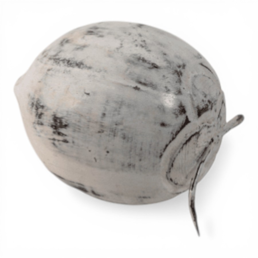 BEZAR - COCONUT FRUIT WOOD MEDIUM