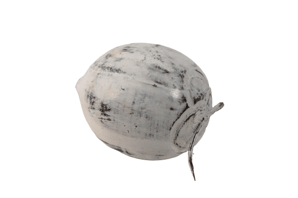 BEZAR - COCONUT FRUIT WOOD MEDIUM