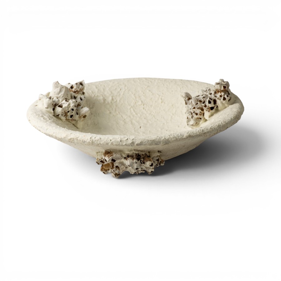 PLATE TERRACOTA WHITE MEDIUM D 36 PARTIAL SHELL