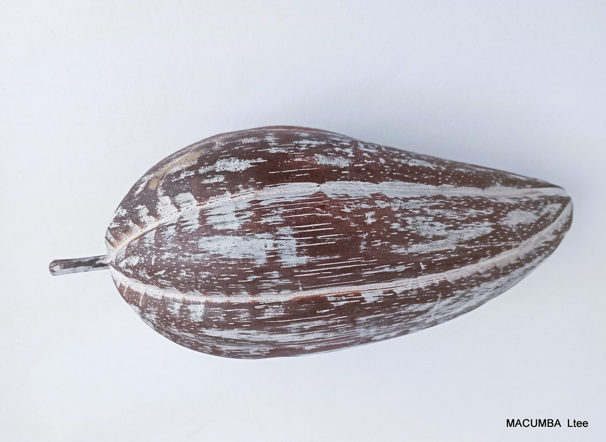 FRUIT CACAO BIG NATURAL WASH