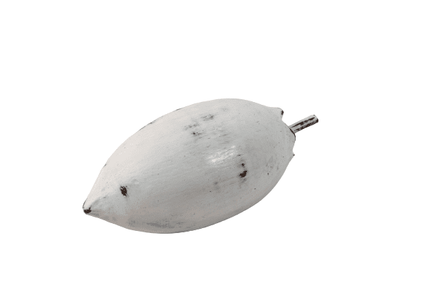 BEZAR - LEMON FRUIT SMALL WOOD