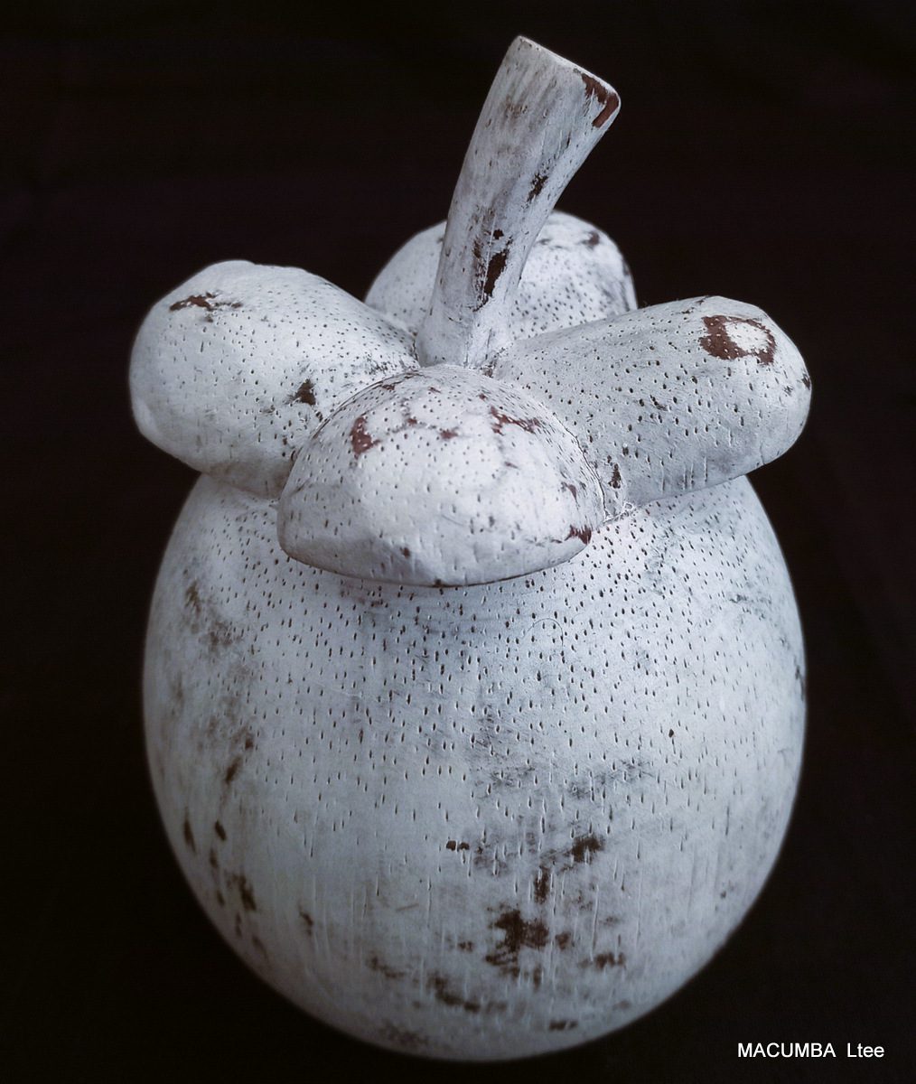 FRUIT MANGOSTEEN BIG WHITE WASH WOOD