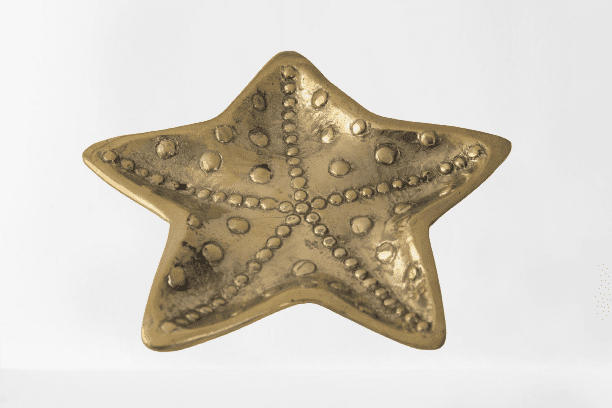 MUCUSSO - PLATE IRON STAR FISH 16