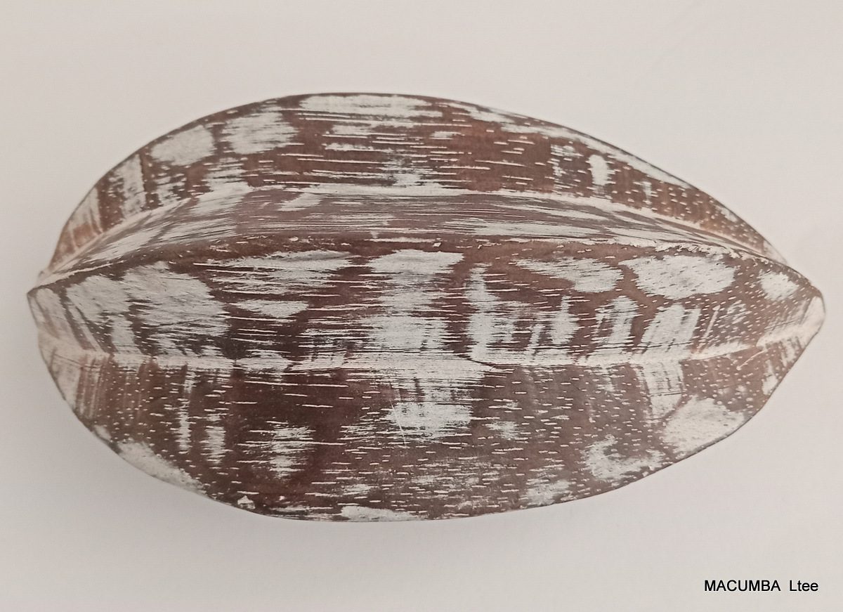 FRUIT STAR MEDIUM NATURAL WASH WOOD