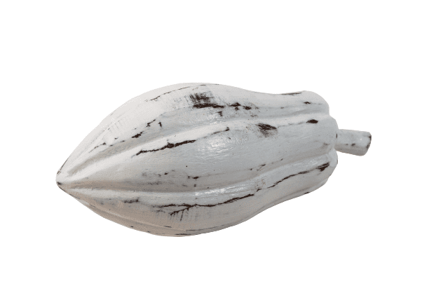 BEZAR - CACAO FRUIT WOOD BIG 25 CM