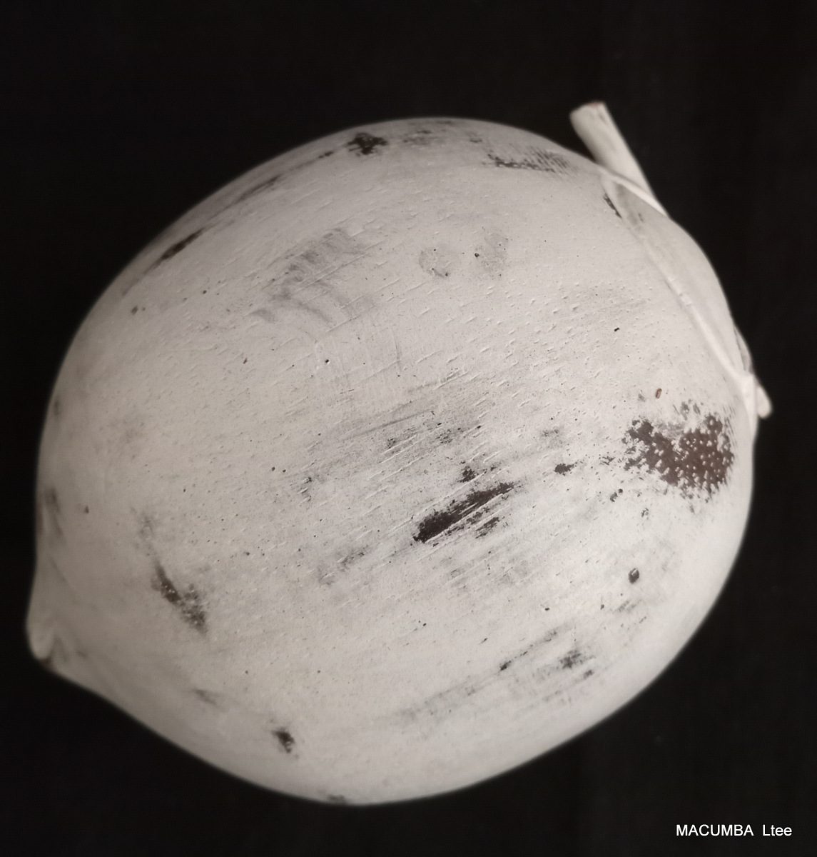 FRUIT COCONUT BIG WHITE WASH WOOD