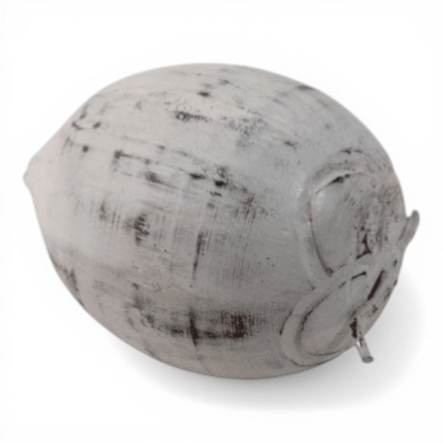 BEZAR - COCONUT FRUIT WOOD BIG 25 CM