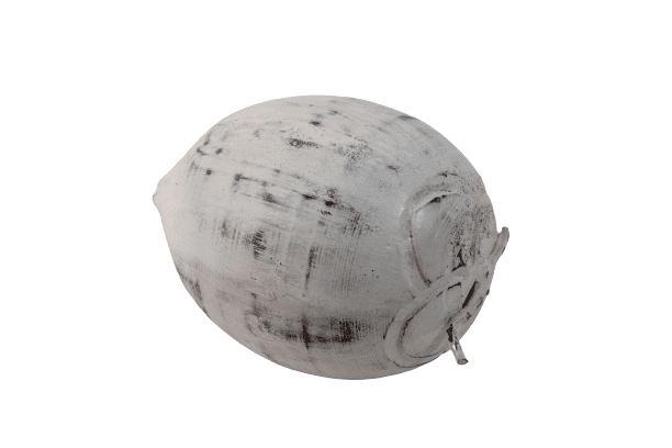 BEZAR - COCONUT FRUIT WOOD BIG 25 CM