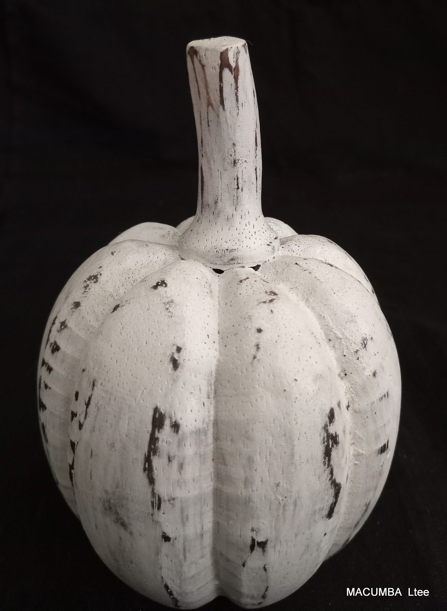 FRUIT PUMPKIN BIG WHITE WASH WOOD