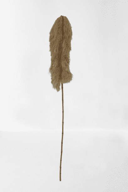 TROPIK - WALL DECO BANANA LEAF DECO