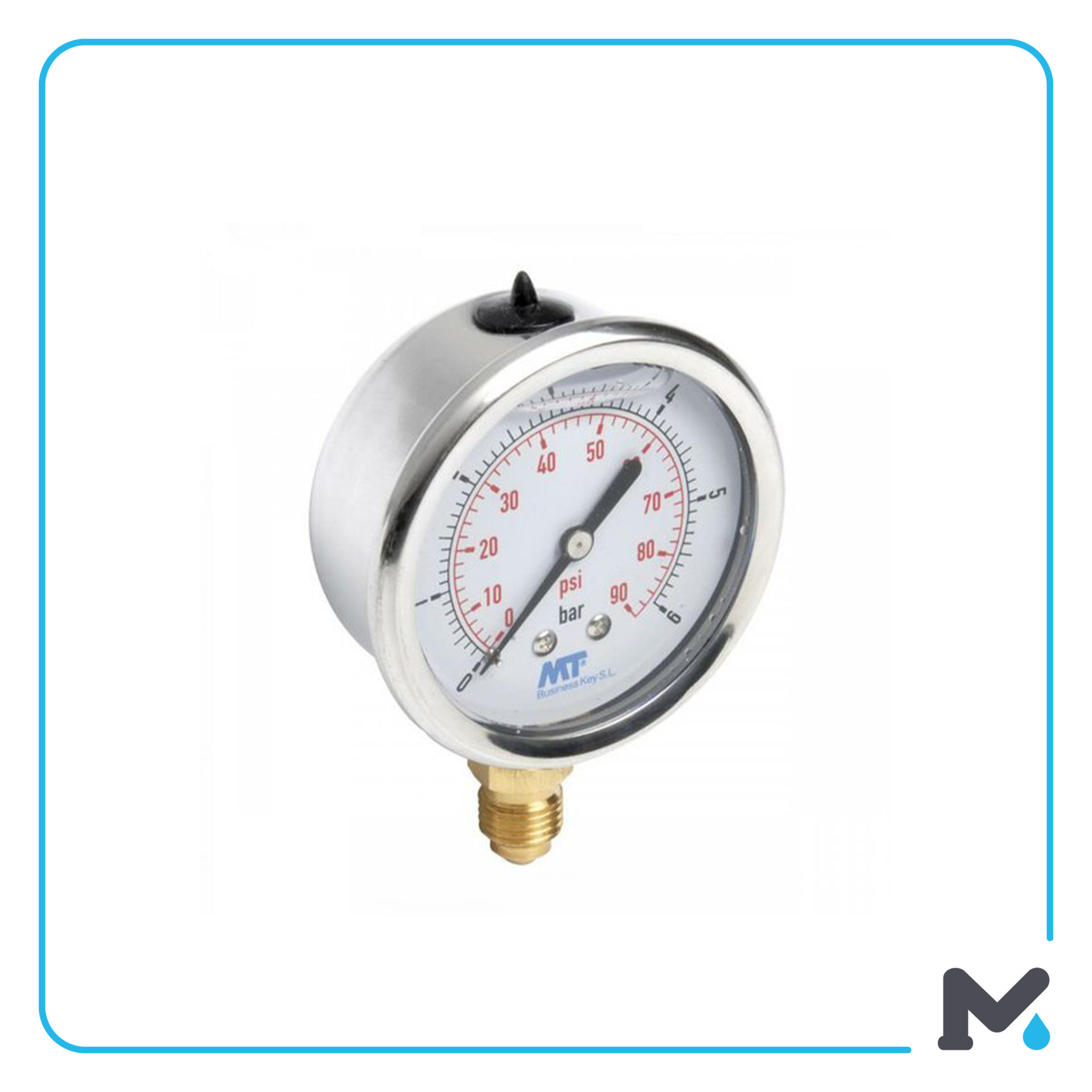S.S GLYCERINE MANOMETER DN100 1/2