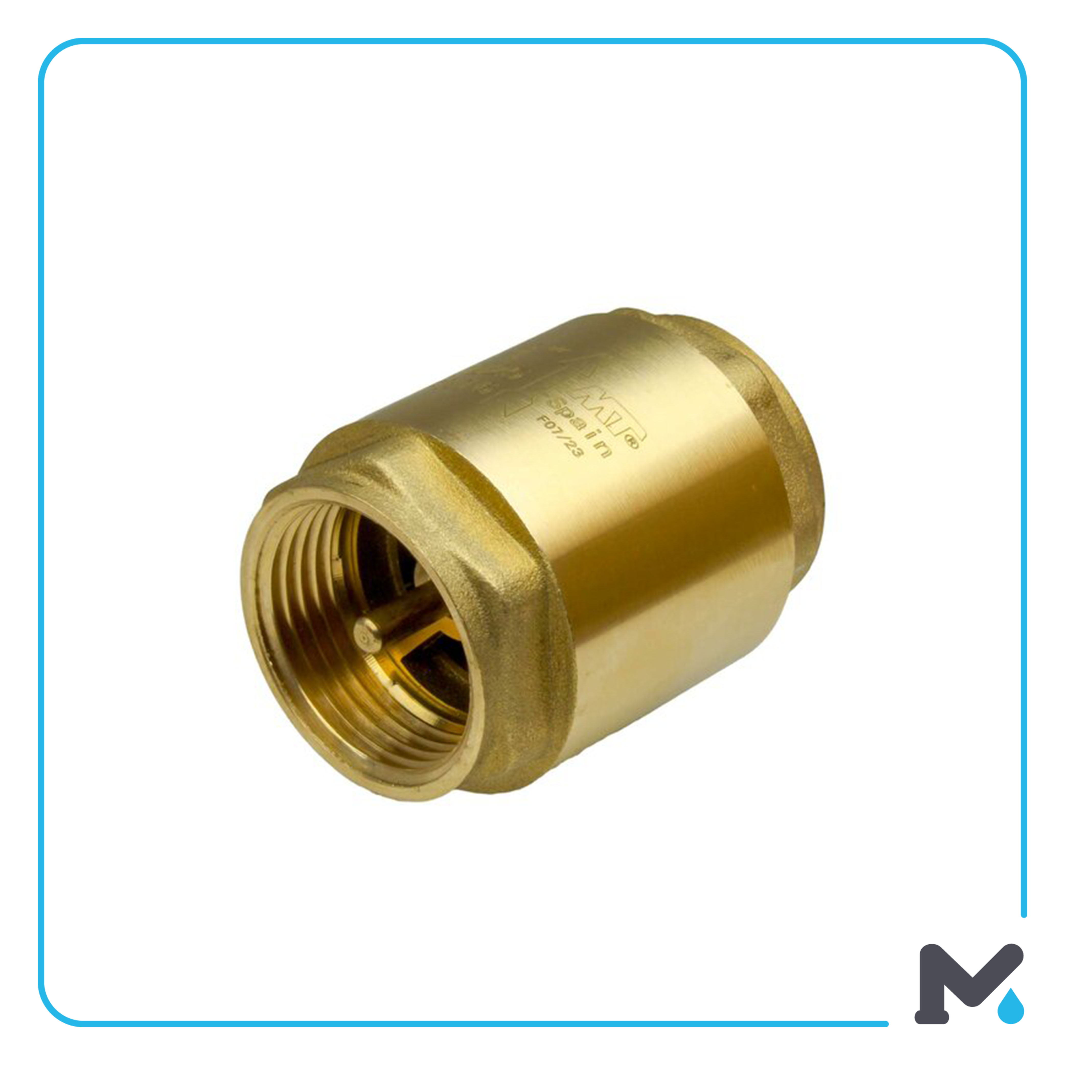 FF SPRING NON RETURN VALVE HEAVY 180° MT