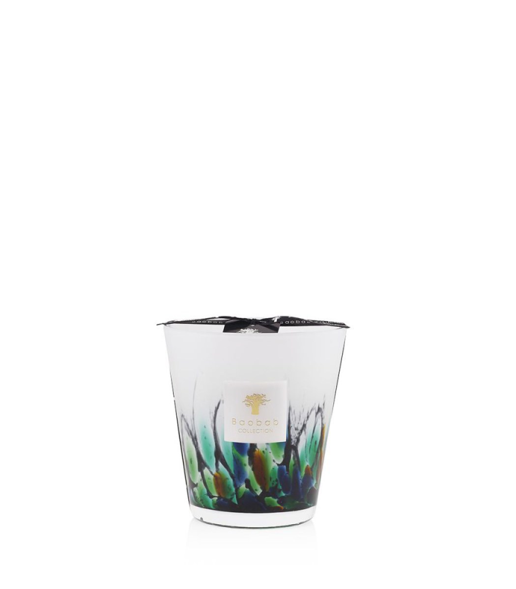 Baobab Collection Max 16 Rainforest Amazonia