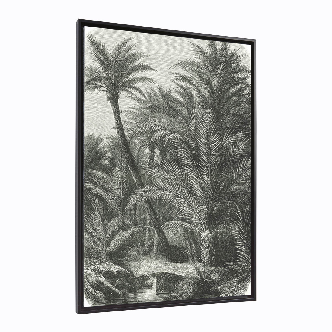 Bamidele palm picture 60 x 90 cm