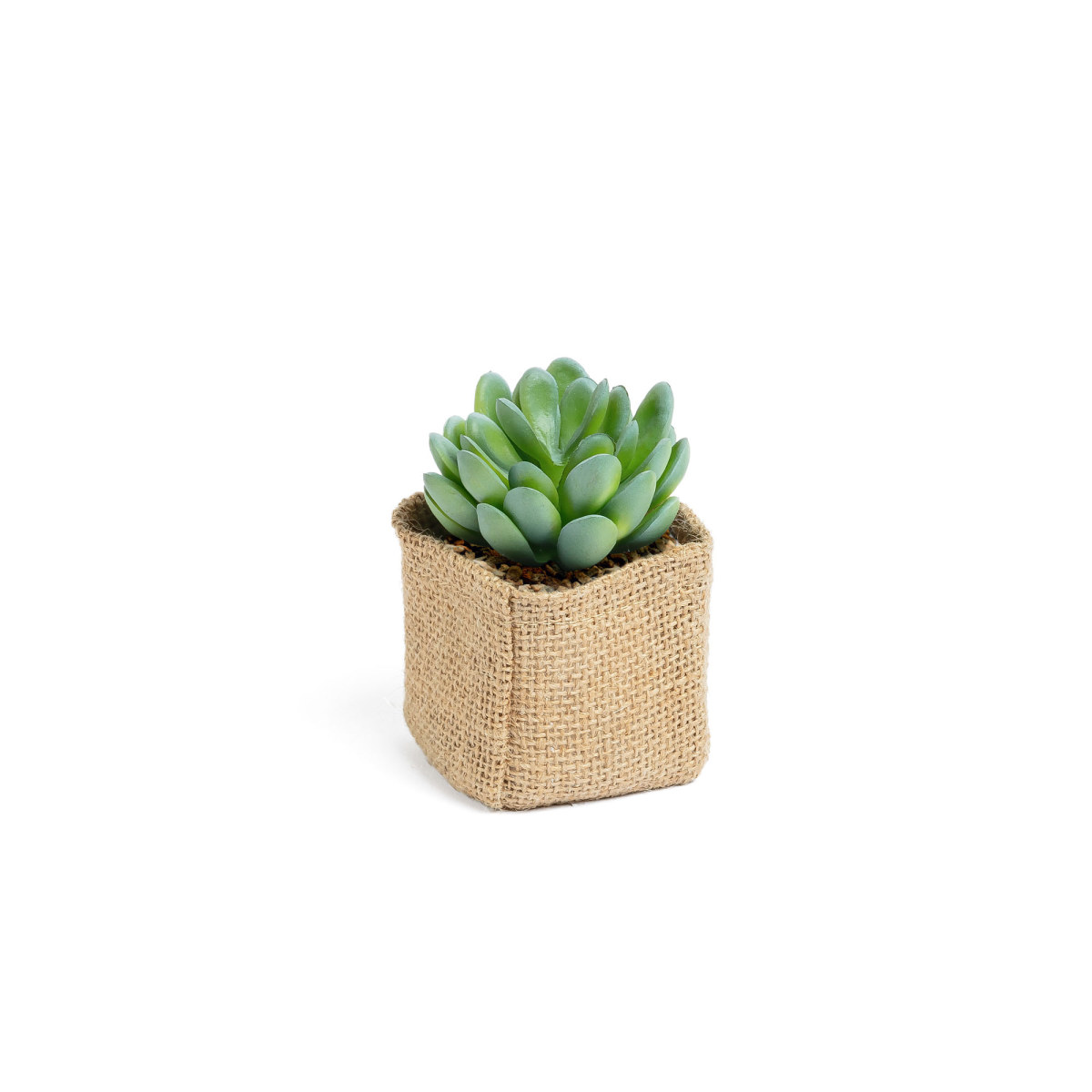 Pachyphytum artificial plant