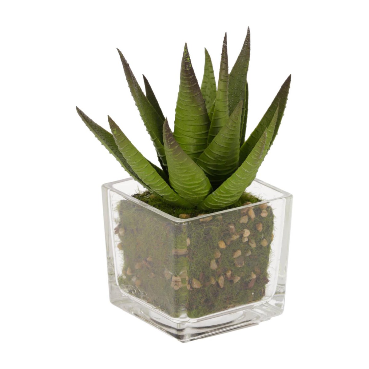 Hawortia artificial plant