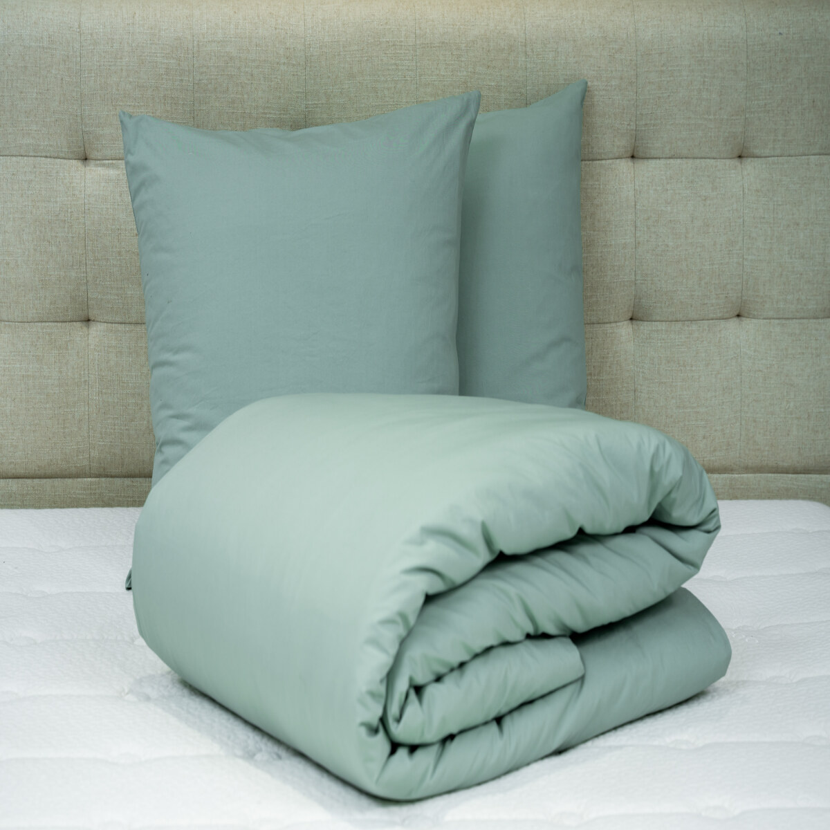 VENEZIA SET DUVET COVER CELADON 102X94 +2 PILLOW 26X26 - 260X240 CM