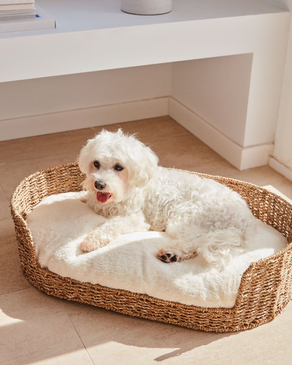 Codie portable pet cushion in white fur Ã 60 x 10 cm