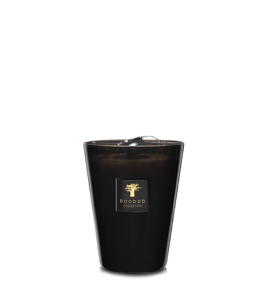Baobab Collection Max 24 Encre de Chine
